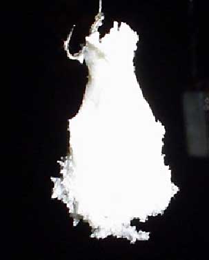 110225breadflake_782954856.jpg 110225breadflake_782954856.jpg