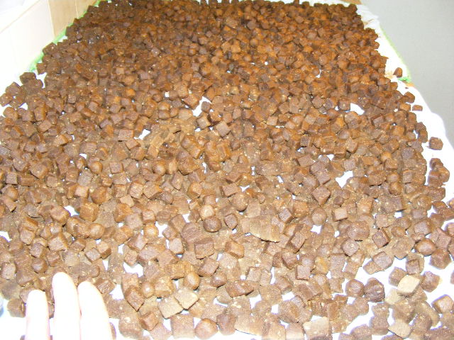 2009_0419baitmakingtstfeb20080304.jpg